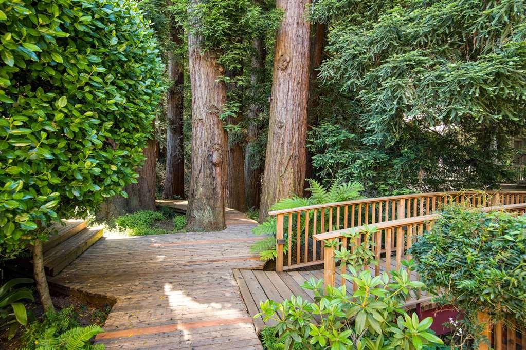 Mill Valley Inn Екстериор снимка